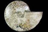 Bargain, Agatized Ammonite Fossil (Half) - Crystal Chambers #111544-1